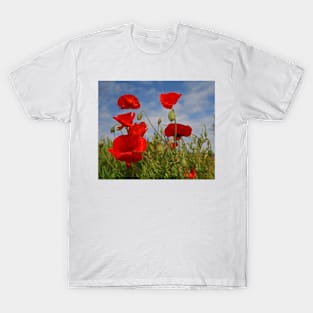 Poppies T-Shirt